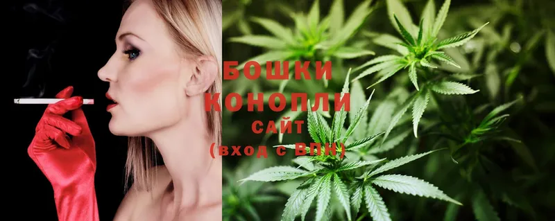 Бошки Шишки THC 21%  Рыльск 